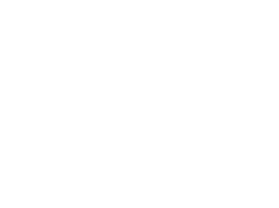 FL Motors